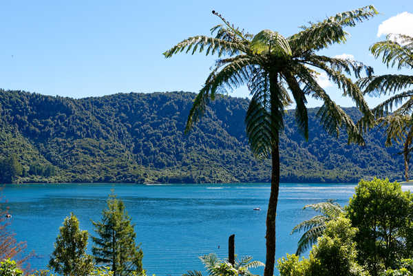 Lac Tikitaupu près de Rotorua en  Nouvelle Zélande