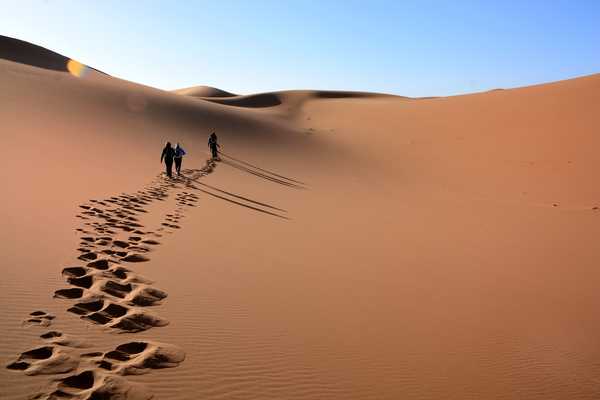 Marcheurs dans les dunes du Drâa, Maroc