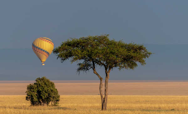 Montgolfière dans le Serengeti © Montgolfière dans le Serengeti