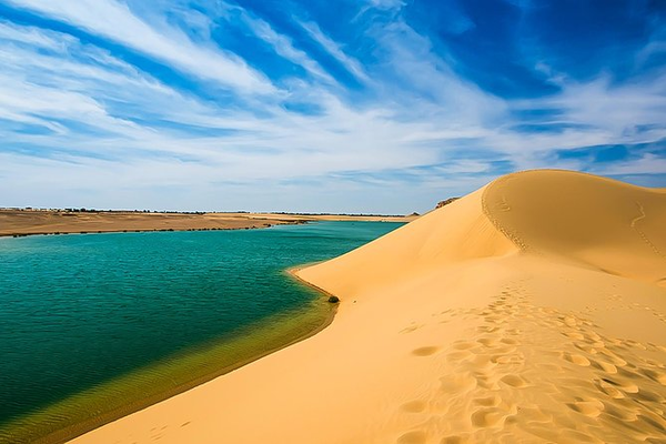 Oasis de Fayoum en Egypte