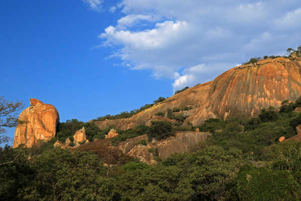 Parc national de Hwange, Zimbabwe