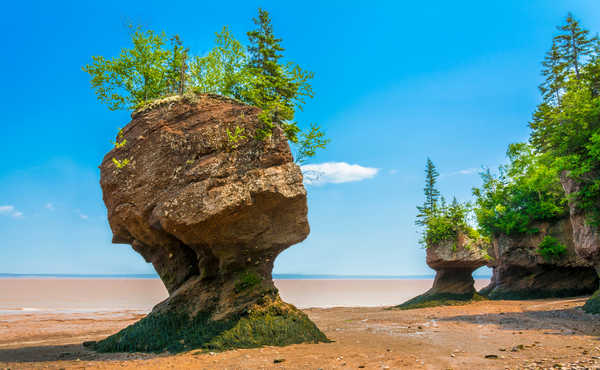 Parc Provincial de Hopewell Rocks et la Baie de Fundy dans le Nouveau-Brunswick au Canada