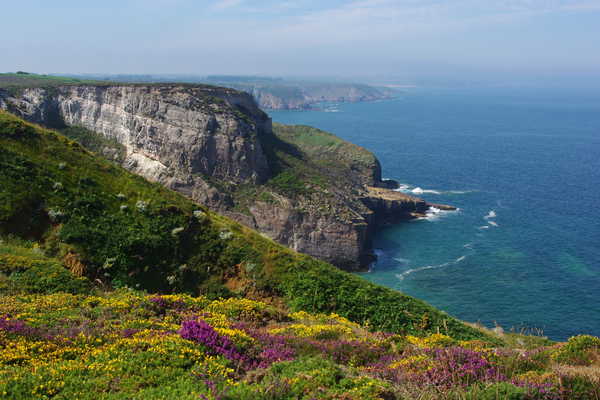 Paysage du Cap d'Erquy sur la côte d'Emeraude en Bretagne