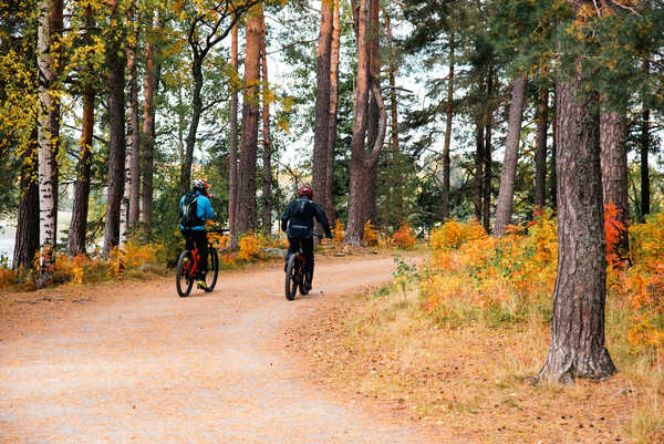 Randonnee a velo en foret finlandaise