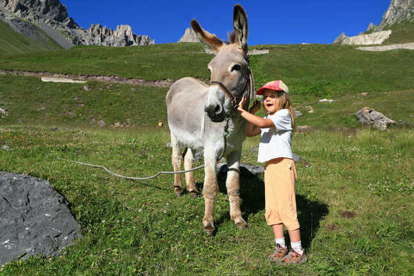 Randonnée avec un âne en famille dans le Queyras