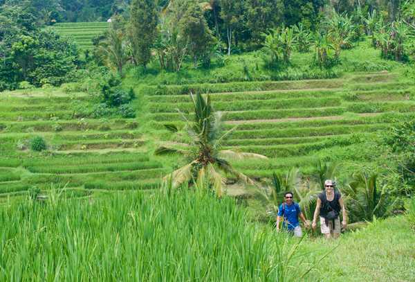Randonée, rizière, Bali