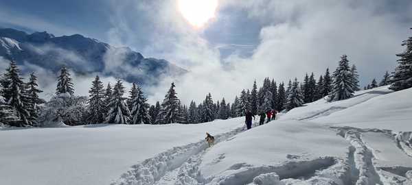Randonnée en ski dans les Alpes à Chamonix