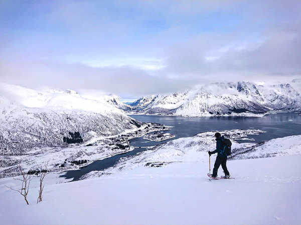 Randonnée raquettes dans les Lofoten