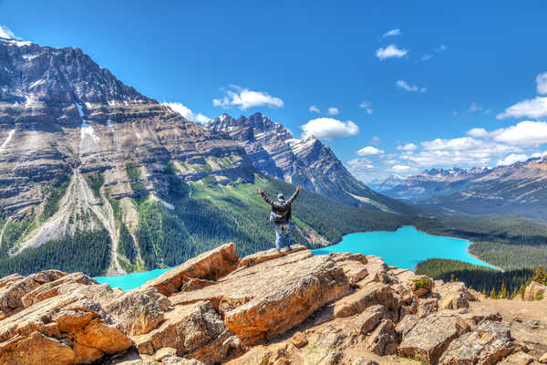 Randonneur profitant de la vue sur le lac Peyto au Parc de Banff, Canada