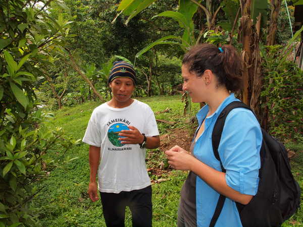 rencontre dans la région du Pacuare