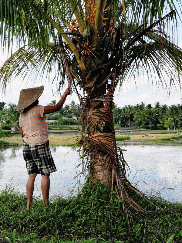 Rencontre de la population locale Ubud