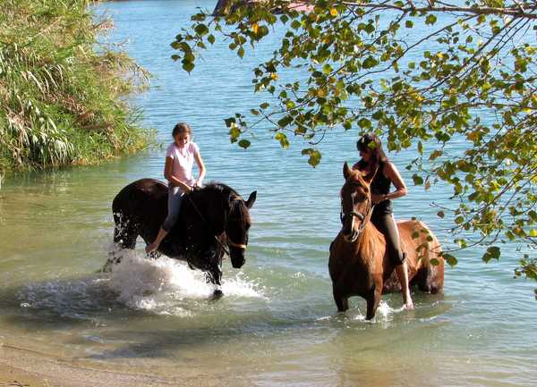 sejour-a-cheval-en-catalogne-baignade-avec-les-chevaux