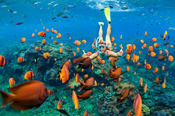 snorkeling-en-indonesie
