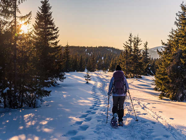 Une personne vue de dos fait une randonnée au coucher de soleil en raquettes dans la neige, elle est en pleine forêt