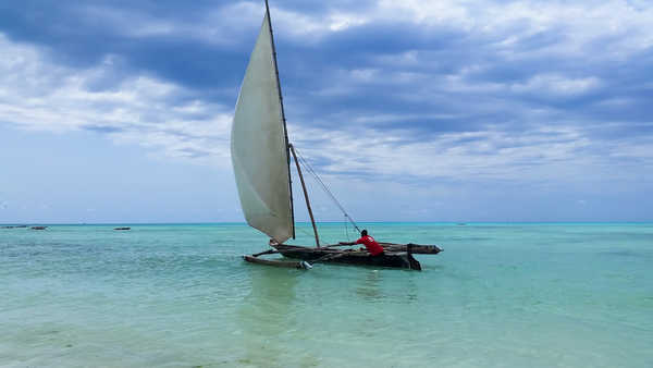 Voile de Zanzibar