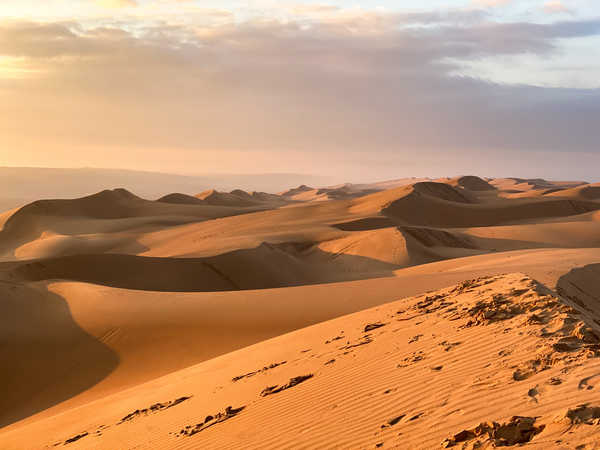 Vue sur les dunes, désert du Wahiba Sands à Oman