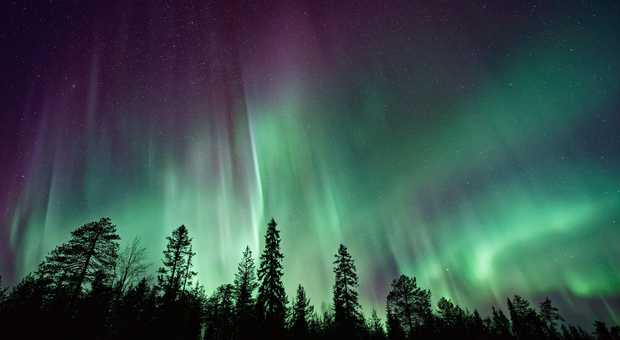 Aurores boréales l'hiver en Laponie, Finlande