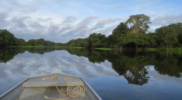 Bateau en Amazonie