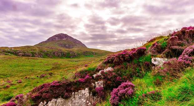 Connemara