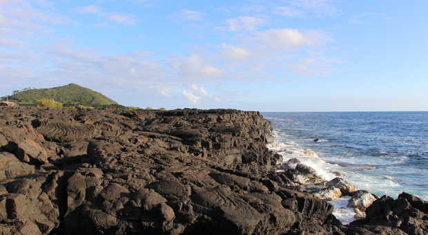 Côtes volcaniques de Pico, Açores