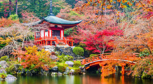Kyoto en automne au Japon