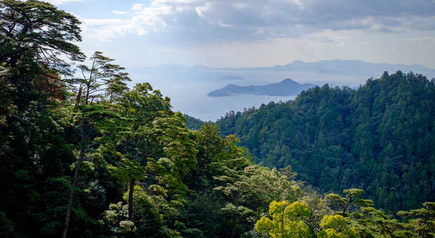 La vue depuis le sommet du Mont Misen sur l'île de Miyajima