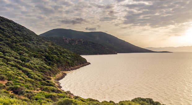 lac-ichkeul-paysage-naturel-nord-tunisie