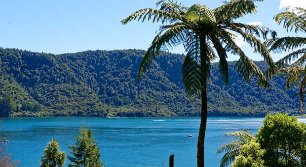 Lac Tikitaupu près de Rotorua en  Nouvelle Zélande