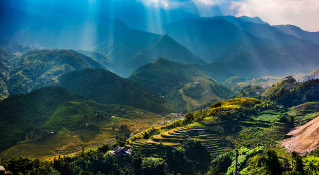 Les rizières en terrasse du Nord Vietnam
