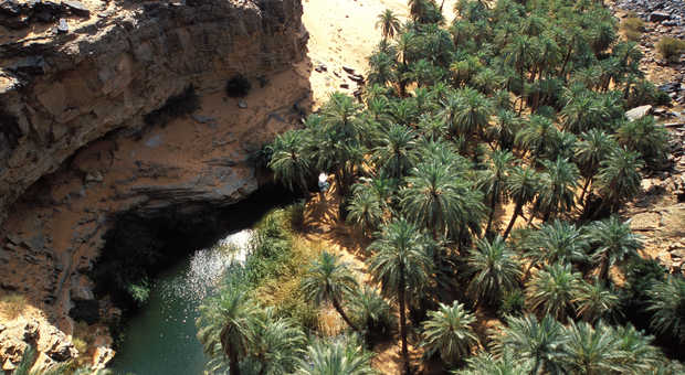 Oasis, Mauritanie