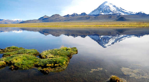 Parc National de Sajama, Oruro, Bolivie