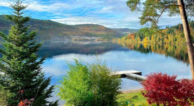 paysage-du-lac-titisee