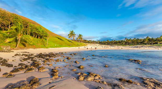 plage Anakena avec des palmiers sur l'ile de Paques