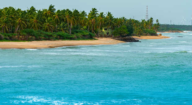 Plage au Sud de l'Inde