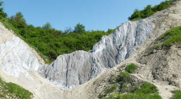 Salt Hill, Réserve naturelle en Transylvanie en Roumanie