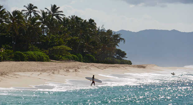 Surfeur sur une plage à Hawaï