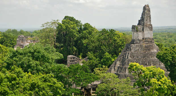 Temple du site maya de Tikal au Guatemala