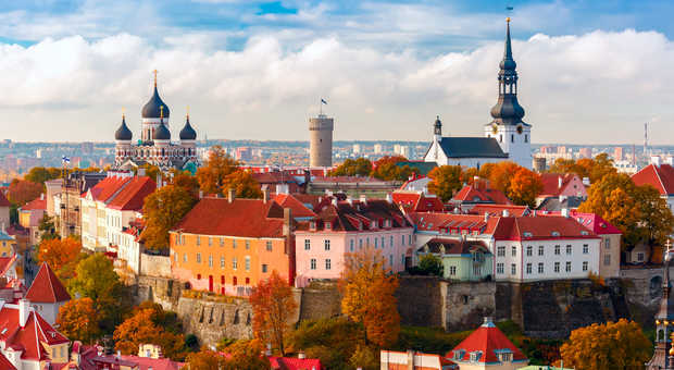 Vue aérienne de la vieille ville, Tallinn, Estonie