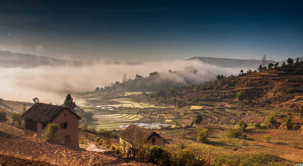 Vue sur les rizières à Madagascar