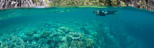 Plongeur dans les récifs coralliens des Raja Ampat