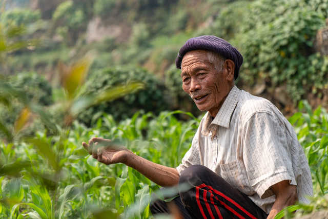 homme népalais qui travaille la terre au Népal