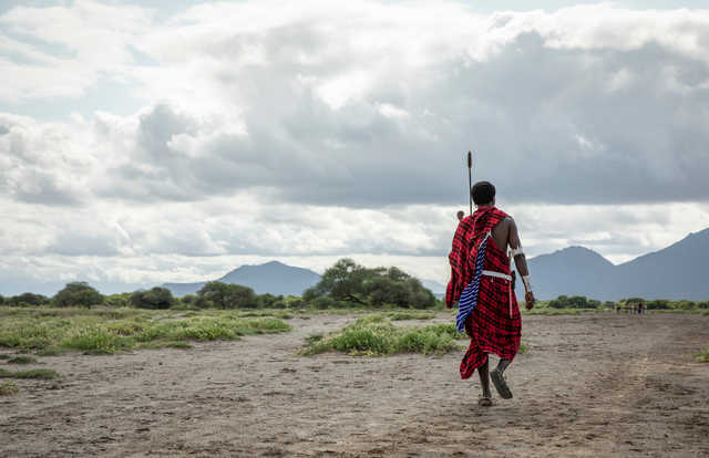Masai marchant dans la savane au Kenya