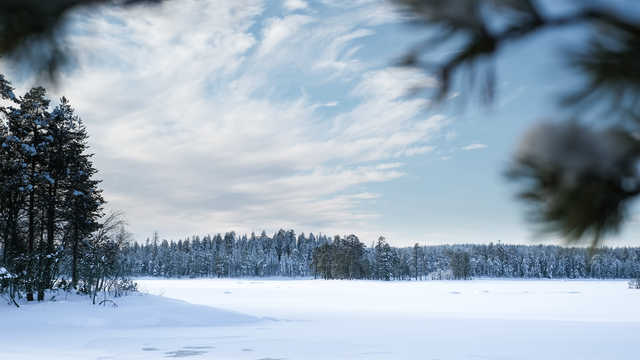 Paysage hivernal de Finlande
