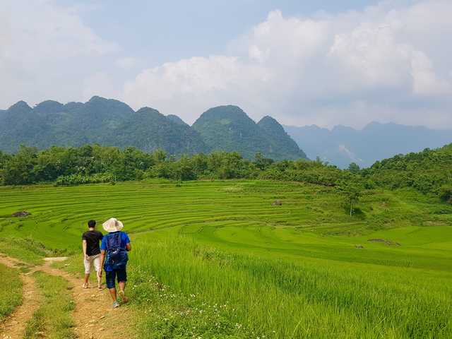 Randonneurs dans les rizières au Vietnam