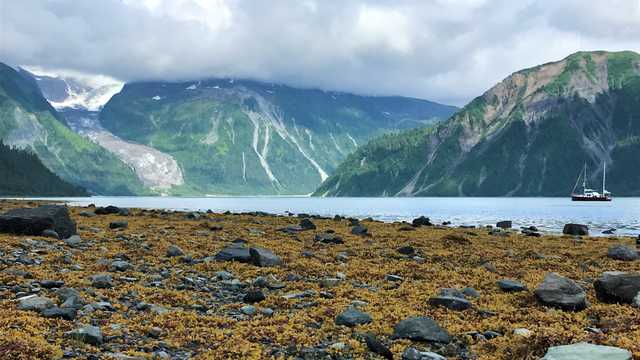 Photo du voilier Qilak, Alaska