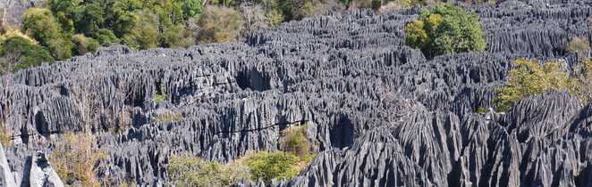 Désert de pierres dans les tsingys à Madagascar