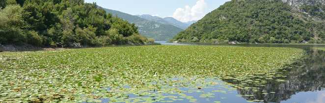 Lac Skadar, Montenegro