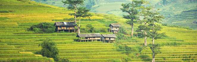 Les rizières en terrasses du nord Vietnam