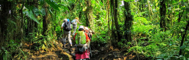 Petit groupe de randonneurs dans la forêt au Costa Rica