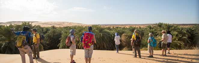 Petit groupe observant un oasis en Mauritanie